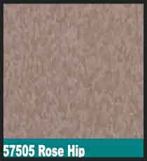 57505 Rose Hip